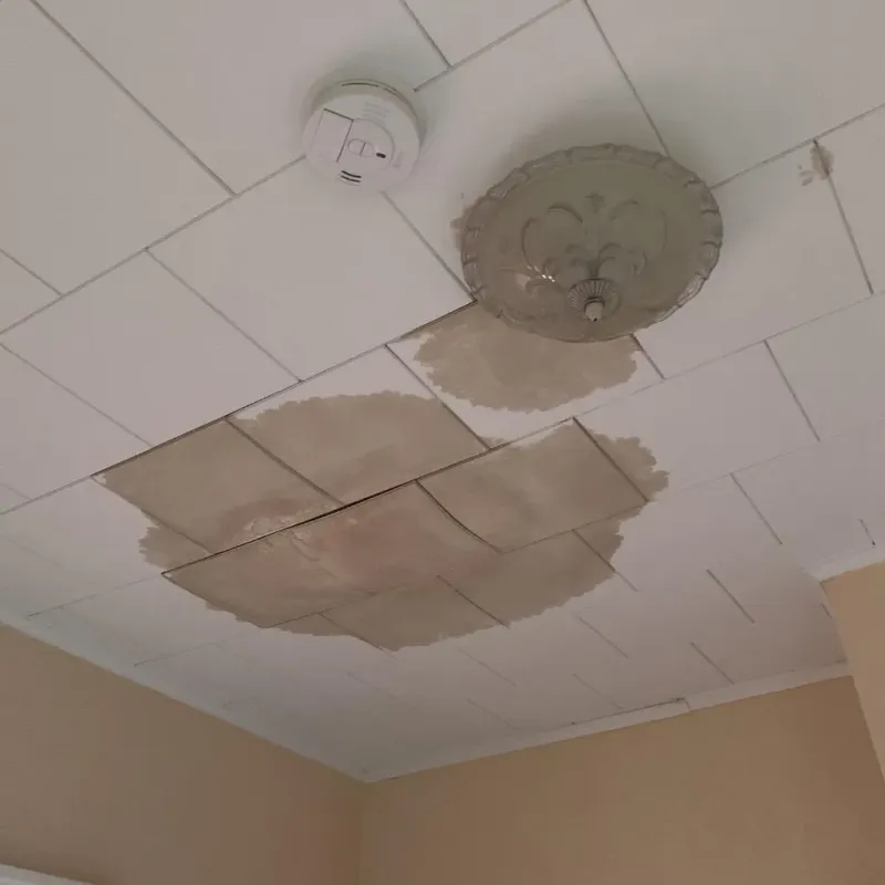 Ceiling Water Damage Repair in Carroll County, OH