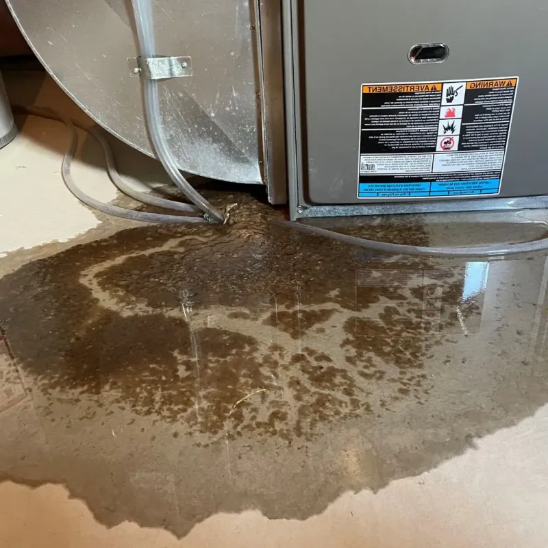 Pipe Burst and Leak Restoration in Carroll County, OH