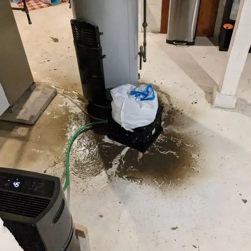 Sewage Backup Cleanup Service in Carroll County, OH